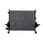 Radiatore Renault 519513