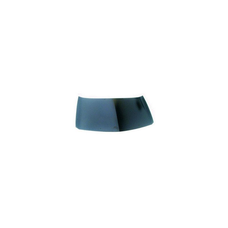 Cofano anteriore Renault-Renault Megane 2002 00295030