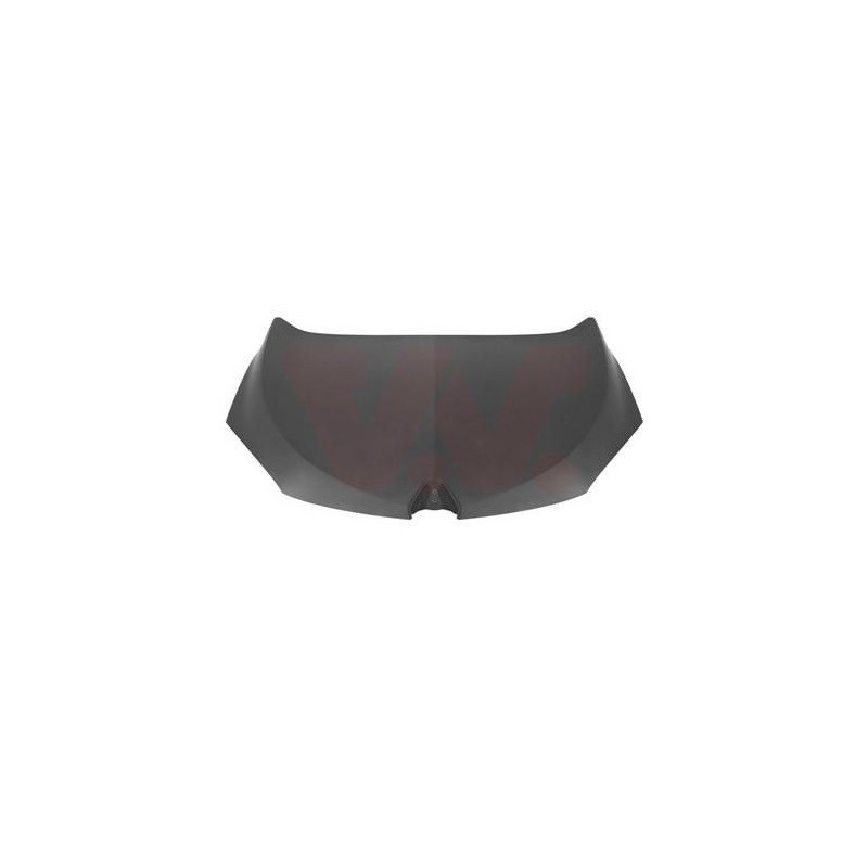 Cofano anteriore Renault-Renault Megane 2008 00297030