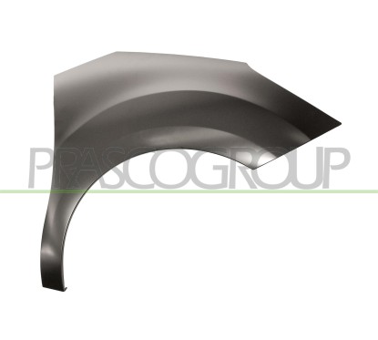 Parafango anteriore destro Senza Foro Lucciola per Citroen C3 e DS3 CI3243003