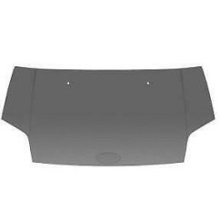 Cofano anteriore -Transit Connect - 08/06 per Ford Tourneo Connect 00439030 - 49-00439030 - 49-00439030