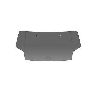 Cofano anteriore -Transit Connect - 08/06 per Ford Tourneo Connect 00439030
