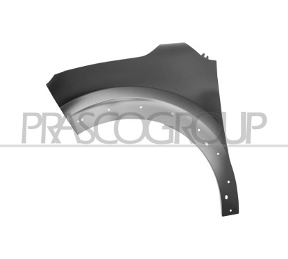 Parafango anteriore sinistro con Fori Parafanghino per Citroen C3 CI3283014