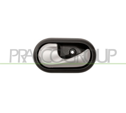 Maniglia Interna anteriore/Posteriore per Dacia Duster, Sandero e Renault Scenic-Grand Scenic e altri modelli DA2208608
