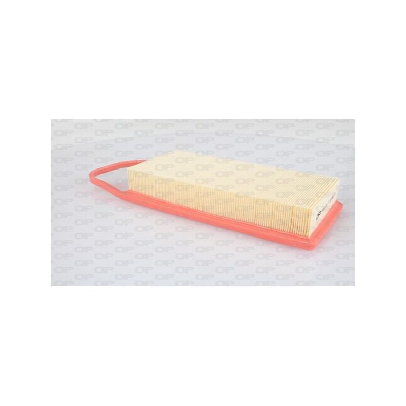 Filtro Aria EAF3003.10