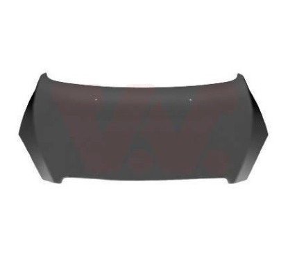 Cofano anteriore Peugeot-Peugeot 307 00555030 - 49-00555030 - 49-00555030