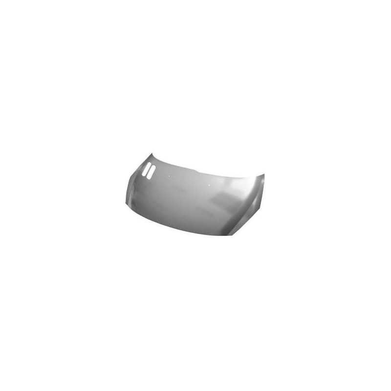 Cofano anteriore per Peugeot 206 Plus PEJ0826014