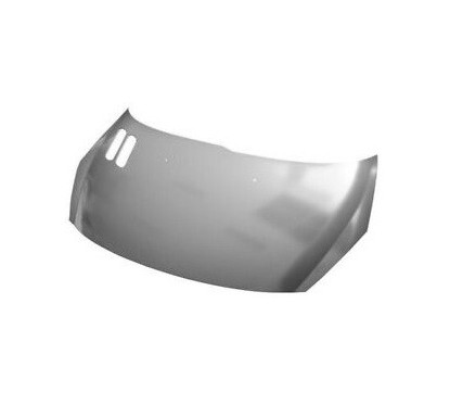 Cofano anteriore per Peugeot 206 Plus PEJ0826014 - 62-PEJ0826014 - 62-PEJ0826014