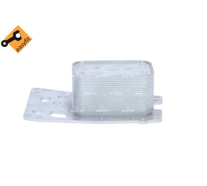Radiatore Olio Bmw 31755