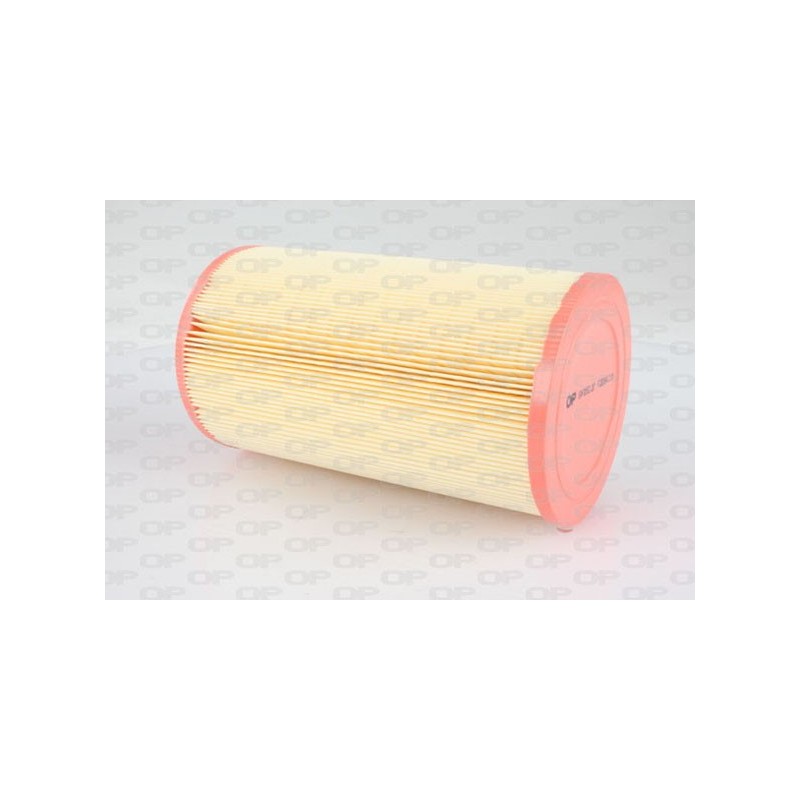 Filtro Aria EAF3062.20