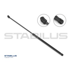Molla A Gas - (Cofano) Chrysler Chrysler-Dodge 300 C dal 200411 123804 - 54-123804 - 54-123804