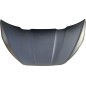 Pannello Cofano Est. (Non Originale) 723BL031 RDM723BL031