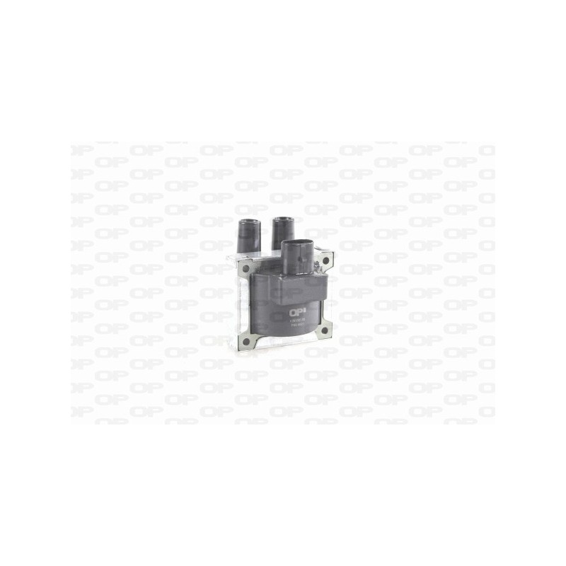Bobina Accensione IGN1001.00