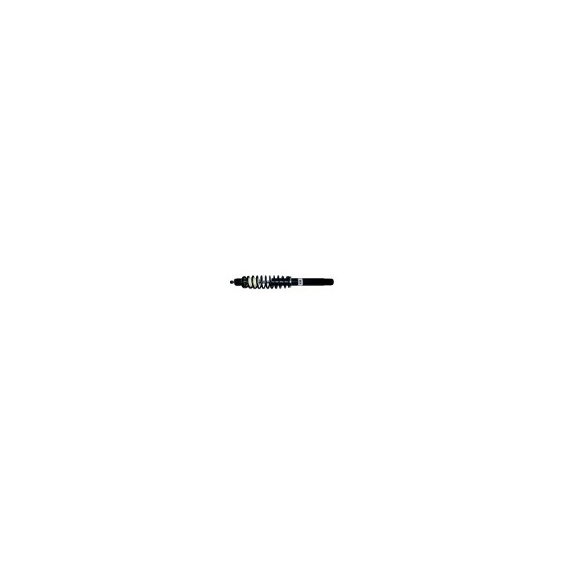 Ammortizzatore anteriore Completo (Non Originale) AM26 RDMAM26