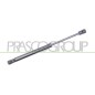 Molla A Gas Portellone posteriore destro/Sinistro per Audi A4 (8E2_B6), A4 (8Ec_B7) e A4 (8K2_B8) AD0249055