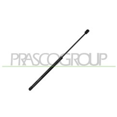 Molla A Gas Portellone posteriore destro/Sinistro per Audi A1 (8X1) AD1209055
