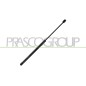Molla A Gas Portellone posteriore destro/Sinistro per Audi A1 (8X1) AD1209055