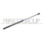 Molla A Gas Portellone posteriore destro/Sinistro per Audi A3 (8P1) AD3209055