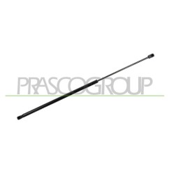 Molla A Gas Cofano anteriore destro per Audi Q3 AD8109003