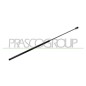 Molla A Gas Cofano anteriore destro per Audi Q3 AD8109003