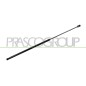Molla A Gas Cofano anteriore destro per Audi Q3 AD8109003