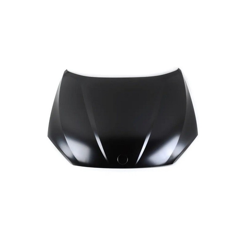 Cofano per Bmw X1 (E84) BM7023100