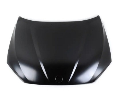 Cofano per Bmw X1 (E84) BM7023100 - 64-BM7023100 - 64-BM7023100