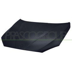 Cofano per Bmw X1 (E84) BM7023100 - 64-BM7023100 - 64-BM7023100