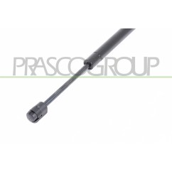Molla A Gas destro/Sinistro Cofano (720N L.285MM) per Bmw X3 (E83) BM8029005 - 64-BM8029005 - 64-BM8029005