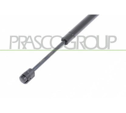 Molla A Gas destro/Sinistro Cofano (720N L.285MM) per Bmw X3 (E83) BM8029005