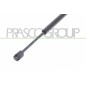 Molla A Gas destro/Sinistro Cofano (720N L.285MM) per Bmw X3 (E83) BM8029005