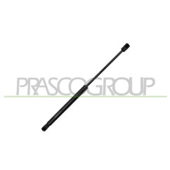 Molla A Gas Cofano anteriore destro/Sinistro per Bmw X5 (E70) BM8229005 - 64-BM8229005 - 64-BM8229005