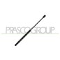 Molla A Gas Cofano anteriore destro/Sinistro per Bmw X5 (E70) BM8229005