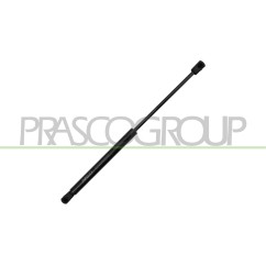 Molla A Gas Cofano anteriore destro/Sinistro per Bmw X5 (E70) BM8229005 - 64-BM8229005 - 64-BM8229005