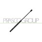 Molla A Gas Cofano anteriore destro/Sinistro per Bmw X5 (E70) BM8229005