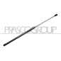 Molla A Gas destro/Sinistro Portellone posteriore (355N L.611MM) per Citroen Saxo (So_S1) CI0229055