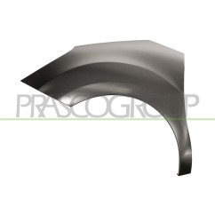 Parafango anteriore sinistro Senza Foro Lucciola per Citroen C3 e DS3 CI3243004