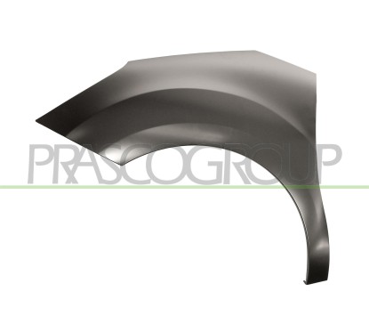 Parafango anteriore sinistro Senza Foro Lucciola per Citroen C3 e DS3 CI3243004