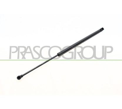 Molla A Gas Portellone posteriore destro/Sinistro per Citroen C4 CI4249055