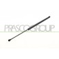 Molla A Gas Portellone posteriore destro/Sinistro per Citroen C4 CI4249055