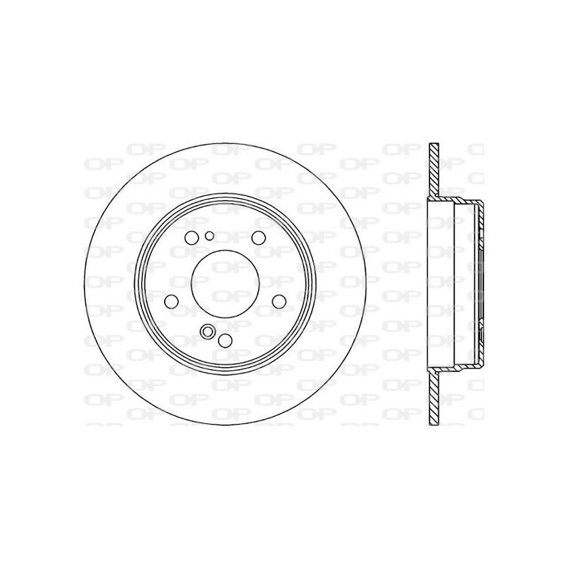 Disco Freno Verniciato BDR1317.10