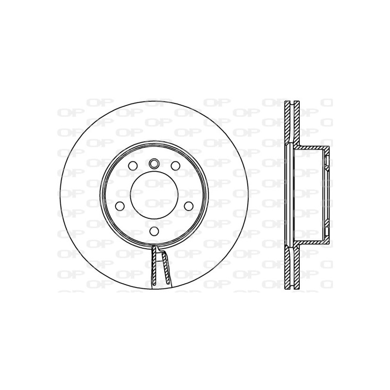 Disco Freno Verniciato BDR2429.20