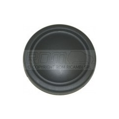Tappo Sede fendinebbia Paraurti anteriore (Non Originale) AIX772001205 - 60-AIX772001205 - 60-AIX772001205