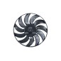 Ventola Radiatore Vw 470082