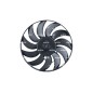 Ventola Radiatore Vw 470082