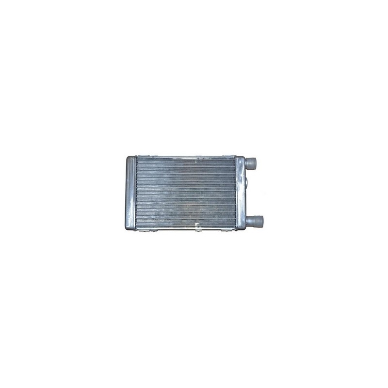 Radiatore Acqua (Originale) BIN103001101