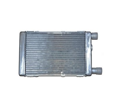 Radiatore Acqua (Originale) BIN103001101 - 60-BIN103001101 - 60-BIN103001101