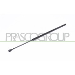 Molla A Gas destro/Sinistro Portellone per Dacia Dokker, Dokker Stepway e Nissan Kubistar (X76) e altri modelli DA7309055 -