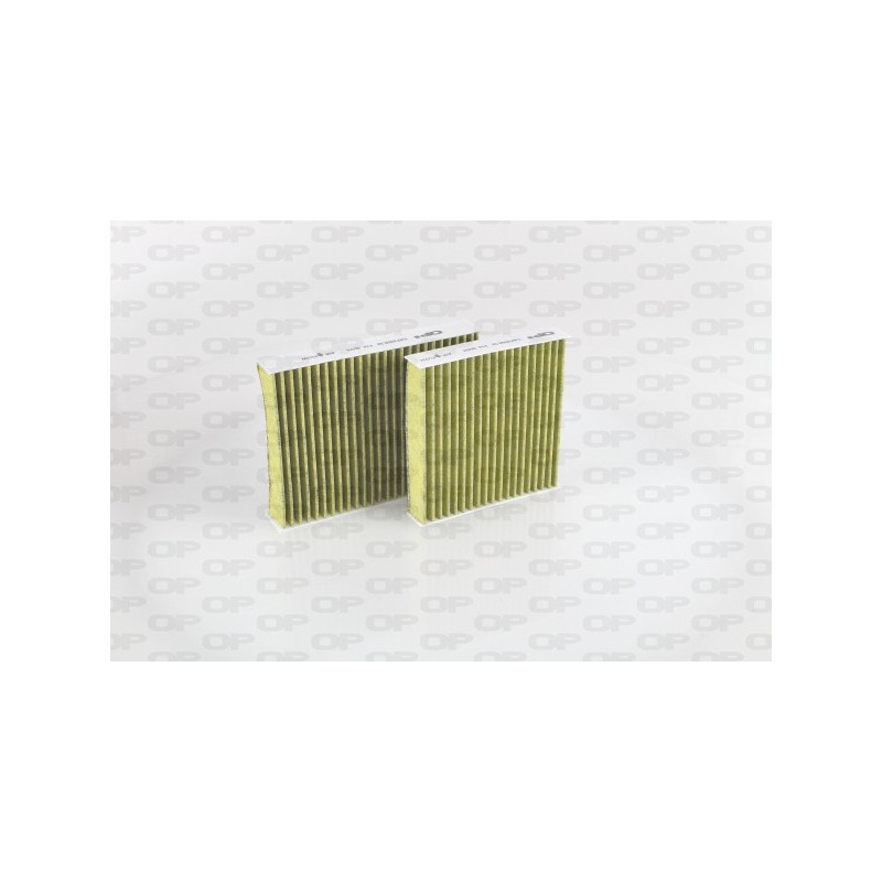 Filtro Abitacolo Antiallergico/Antimicrobico (Conf. 2PZ) CAF2058.32