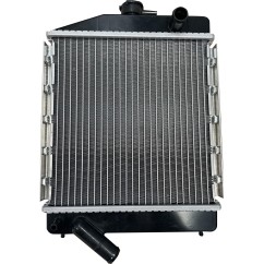 Radiatore Acqua (Non Originale) CH2610301001